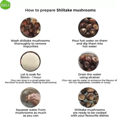 Shiitake Mushrooms <br> Pack of 2 - Image 4