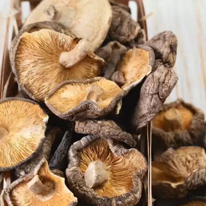 Shiitake Mushrooms <br> Pack of 2 - Image 5
