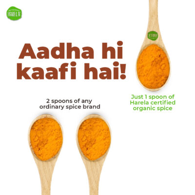 Kitchen King Masala - Image 5
